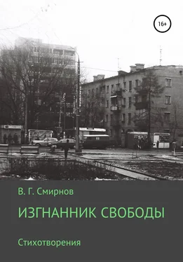 Виктор Смирнов Изгнанник свободы обложка книги