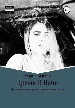 Мария Вернер Драма в ночи обложка книги