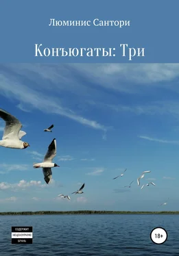 Люминис Сантори Конъюгаты: Три обложка книги