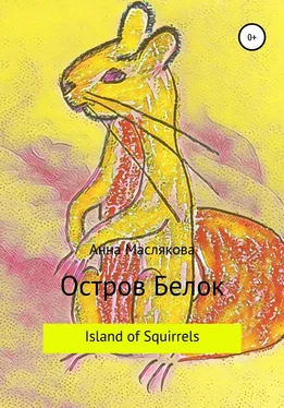 Анна Маслякова Остров Белок. Island of Squirrels обложка книги