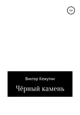 Виктор Кежутин Черный камень обложка книги