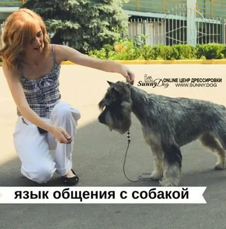 А мягкие команды заменяют жесткие их мы используем когда мы не уверены в - фото 17