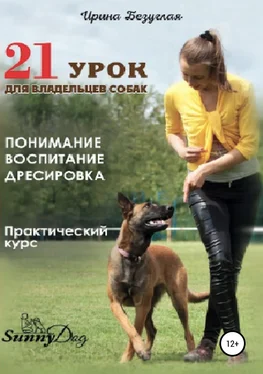 Ирина Безуглая 21 урок для владельца собаки. Понимание, обучение, дрессировка собаки обложка книги