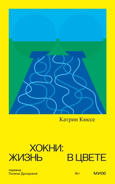 Катрин Кюссе Хокни: жизнь в цвете обложка книги