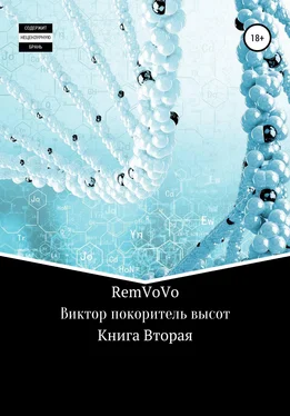 RemVoVo Виктор покоритель высот. Книга Вторая