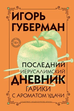 Игорь Губерман Последний Иерусалимский дневник обложка книги