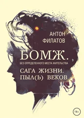 Антон Филатов - БОМЖ. Сага жизни. Книга первая. Пыл(ь) веков