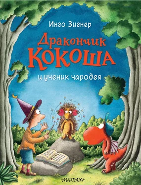 Инго Зигнер Дракончик Кокоша и ученик чародея обложка книги