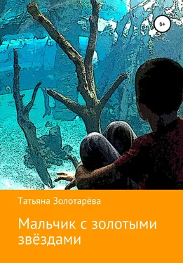 Татьяна Золотарёва Мальчик с золотыми звёздами обложка книги