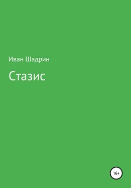 Иван Шадрин Стазис обложка книги