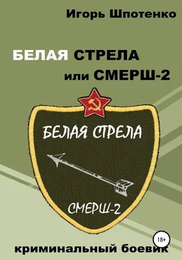 Игорь Шпотенко Белая Стрела или СМЕРШ-2 обложка книги