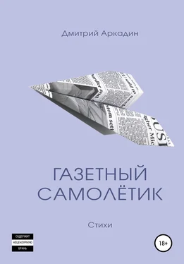 Дмитрий Аркадин Газетный самолётик обложка книги