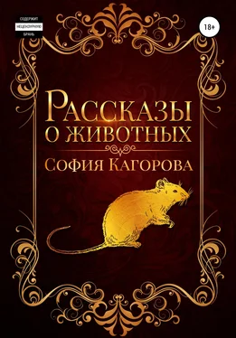 София Кагорова Рассказы о животных обложка книги