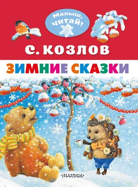 Сергей Козлов Зимние сказки обложка книги