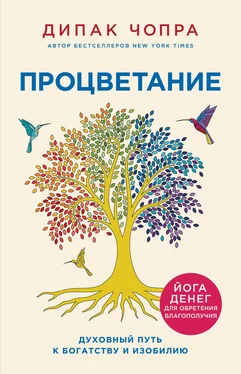 Дипак Чопра Процветание. Духовный путь к богатству и изобилию обложка книги