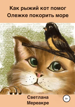 Светлана Мереакре Как рыжий кот помог Олежке покорить море обложка книги