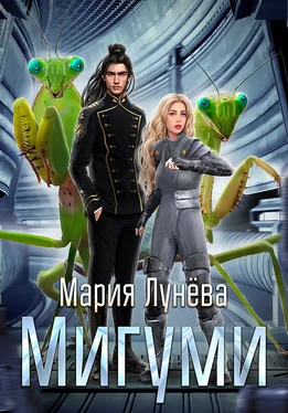 Мария Лунёва Мигуми. По ту сторону Вселенной обложка книги