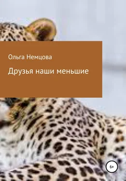 Ольга Немцова Друзья наши меньшие обложка книги