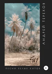 Андрей Терехов - Песни белых китов