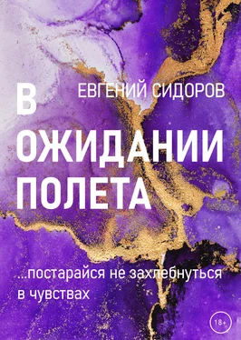 Евгений Сидоров В ожидании полета обложка книги