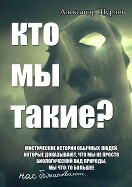 Александр Шурлов Кто мы такие? обложка книги