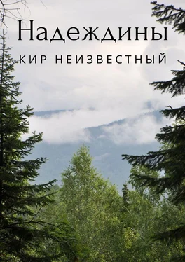 Кир Неизвестный Надеждины обложка книги