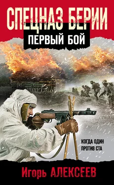 Игорь Алексеев Спецназ Берии. Первый бой обложка книги