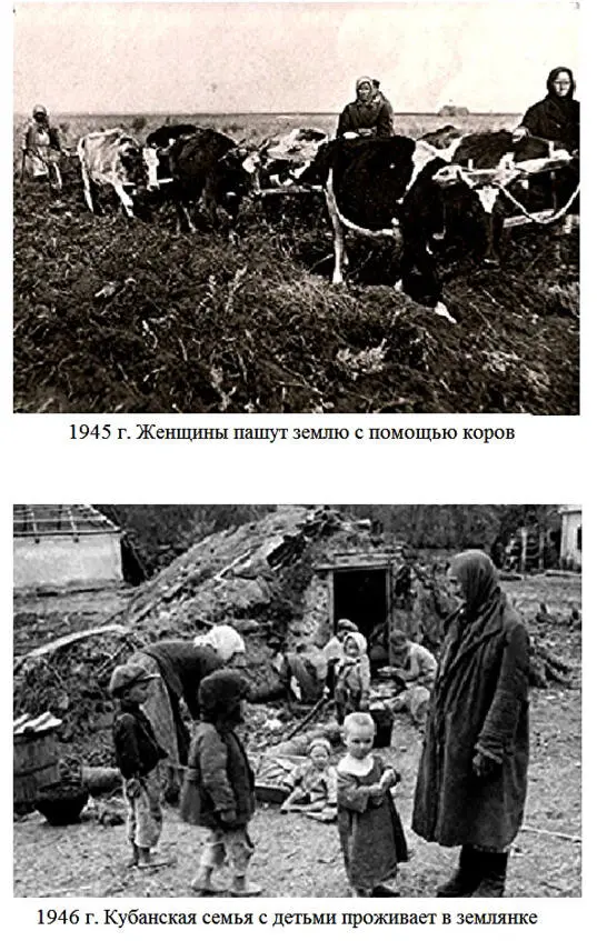 РЕФОРМЫ В СЕЛЬСКОМ Хозяйстве Необходимость реформирования сельского хозяйства - фото 3