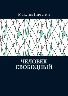 Максим Пичугин Человек свободный обложка книги