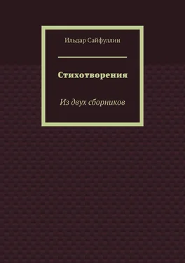 Ильдар Сайфуллин Стихотворения. Из двух сборников обложка книги