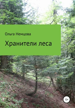 Ольга Немцова Хранители леса обложка книги