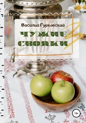 Василий Гурковский - Чужие свояки