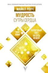 Майкл Роуч - Мудрость Сутры Сердца. Солнечный свет на суть вещей