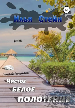 Илья Стейн Чистое белое полотенце обложка книги