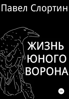 Павел Слортин Жизнь юного ворона обложка книги