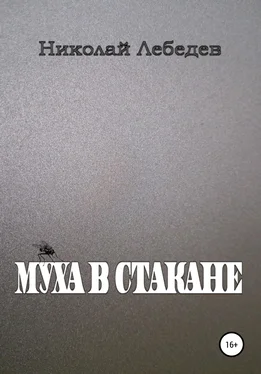 Николай Лебедев Муха в стакане обложка книги