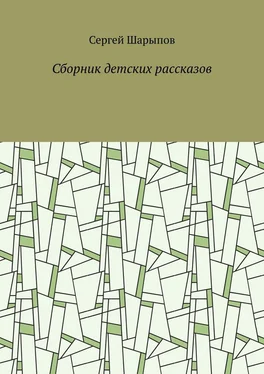 Сергей Шарыпов Сборник детских рассказов обложка книги