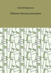Сергей Шарыпов - Сборник детских рассказов