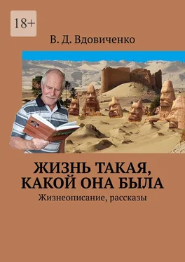 В. Вдовиченко Жизнь такая, какой она была. Жизнеописание, рассказы обложка книги