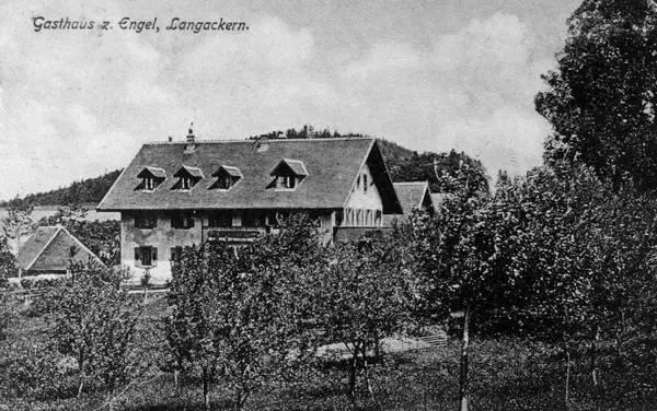 Гостиница У ангела во Фрейбурге Папа из России мама из Италии приехали за - фото 33