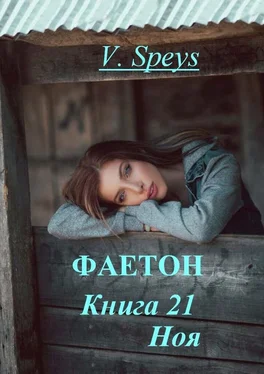 V. Speys Фаетон. Книга 21. Ноя обложка книги