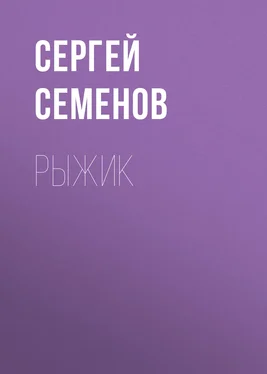 Сергей Семенов Рыжик обложка книги