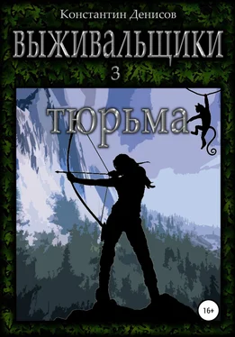 Константин Денисов Выживальщики 3. Тюрьма обложка книги