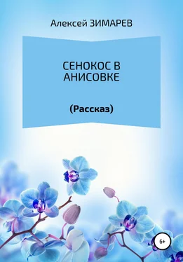 Алексей Зимарев Сенокос в Анисовке обложка книги