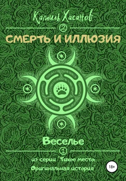 Камиль Хасанов Веселье обложка книги