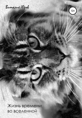 Виталий Юров - Жизнь времени во вселенной