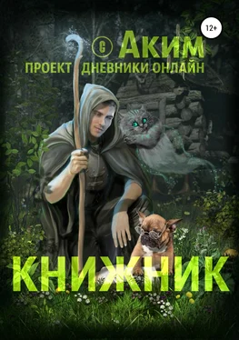 Аким Титов Книжник обложка книги