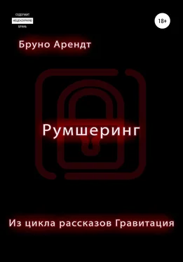 Бруно Арендт Румшеринг обложка книги