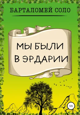 Барталомей Соло Мы были в Эрдарии обложка книги