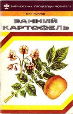 Борис Писарев Ранний картофель обложка книги